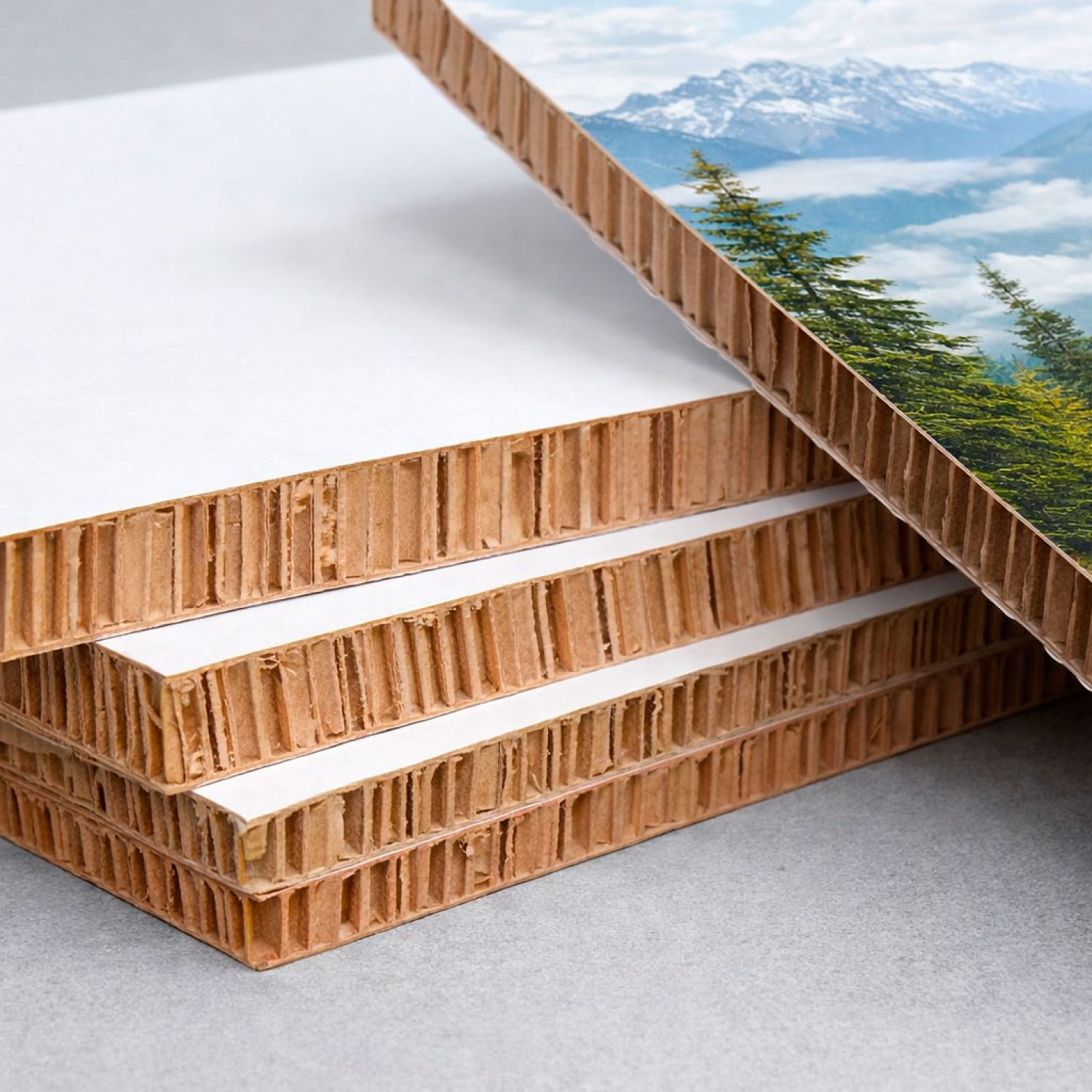 Panel de cartón tipo board para impresión y protección en embalaje.